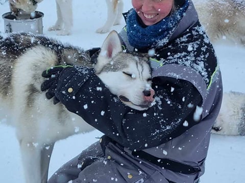 Dog Sledding and Goðafoss experience from Akureyri, photo 7