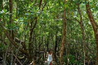 Explore Stone Town and Jozani Forest with Turtles Zanzibar 6