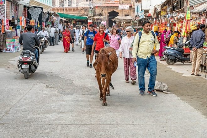 Our Guest in Pushkar Street with Our Guide