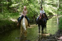 Marmaris: Horse Riding Experience with Transfer 1