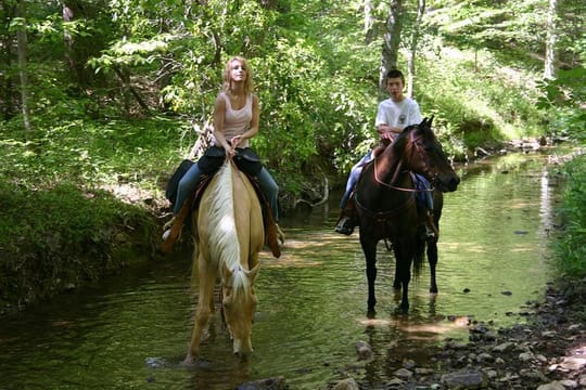 Marmaris: Horse Riding Experience with Transfer