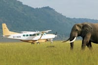  3 Day Masai Mara Safari Flying Package 6