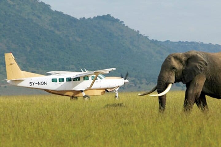  3 Day Masai Mara Safari Flying Package 6