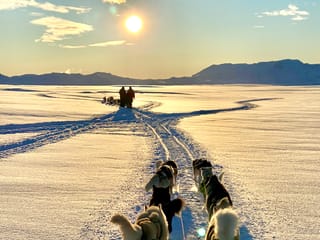 Dog Sledding Near Reykjavik , photo 20