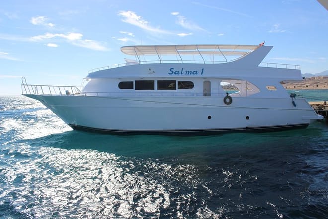Dolphin House Reef Snorkeling Adventure &amp; Transfers – Marsa Alam