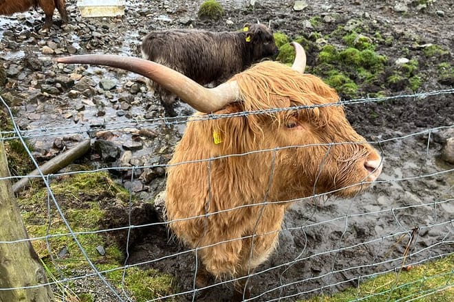 Private Scottish Highlands and Loch Ness Tour from Edinburgh photo 2