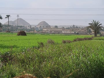 Private Dahshur Pyramids and Farmland Experience