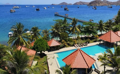 Explore Komodo National Park on a 4-Day Adventure Tour