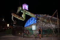 Container Park's fire breathing preying mantis