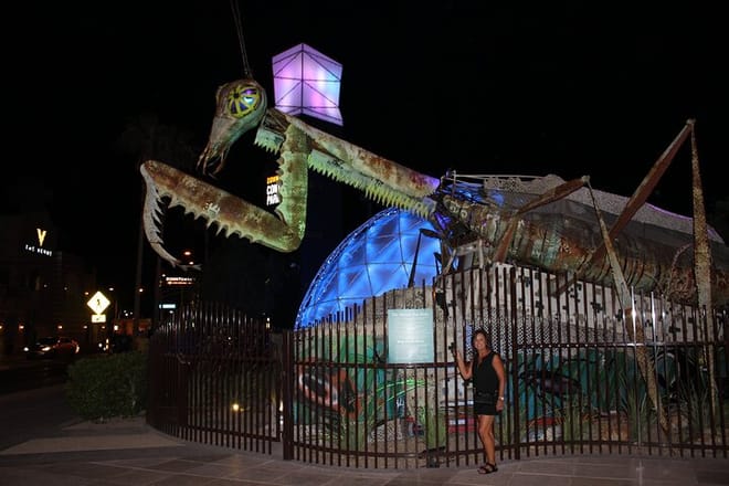 Container Park's fire breathing preying mantis