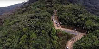 Adam's Peak Tour In a Day (24 Hrs) 2