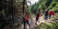 Hiking Mountain Parnitha 6