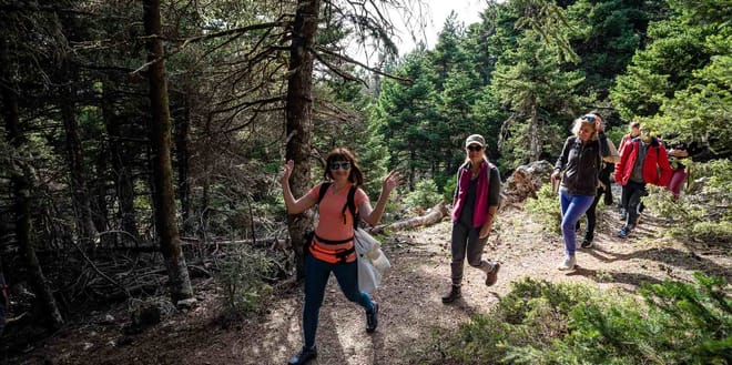 Hiking Mountain Parnitha 6