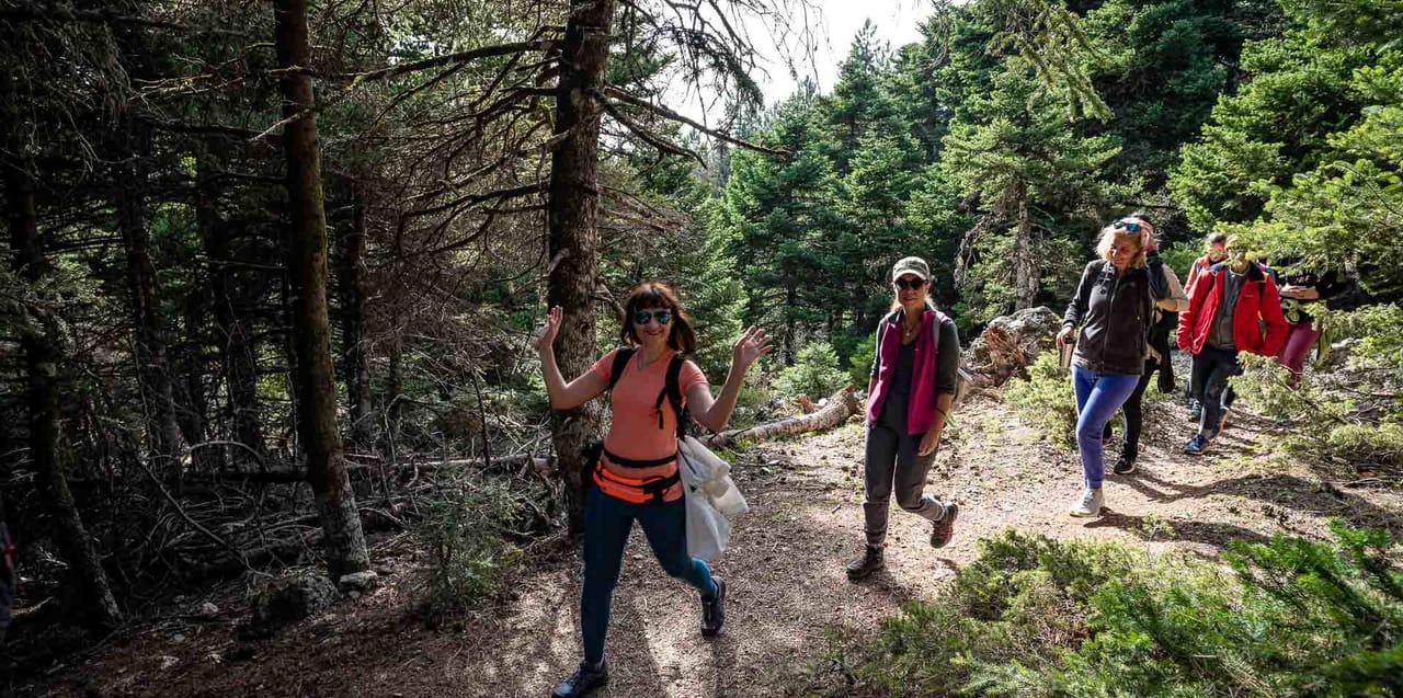 Hiking Mountain Parnitha 6