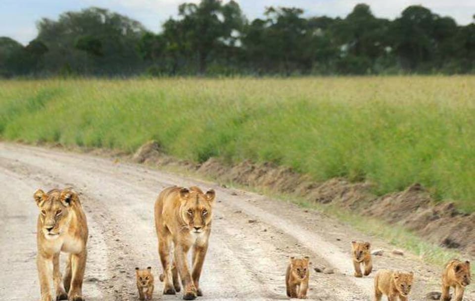 8Days Best of Kenya Wildlife Safari