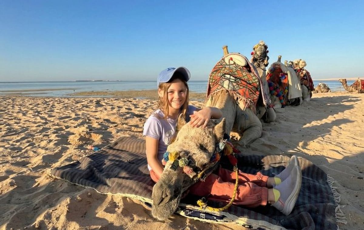 Camel riding on the beach or in the desert of Hurghada