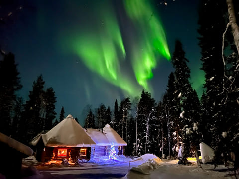 Aurora Dinner at Private Happy Fox Farm, 3 hours (Private Tour)