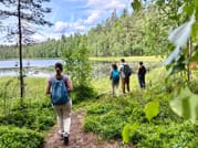 Magical Taiga Forest Hike 2