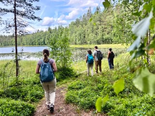 Magical Taiga Forest Hike