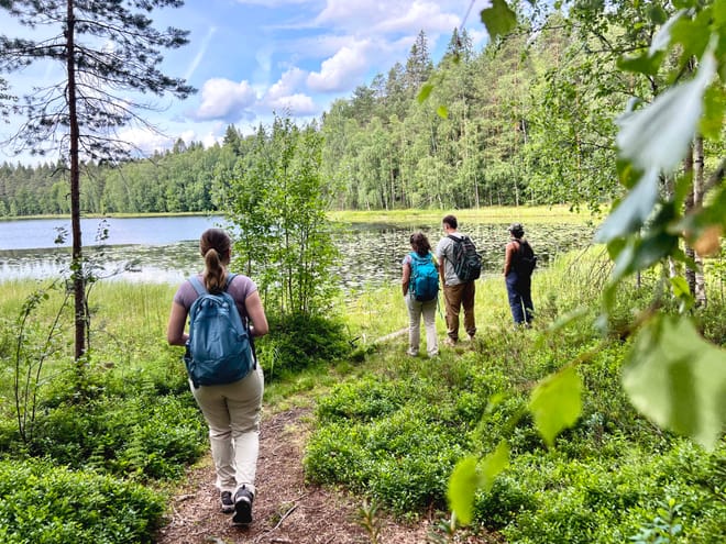 Magical Taiga Forest Hike photo 2