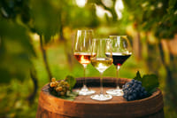 Cappadocia: Vineyard & Wine Tasting Among Fairy Chimneys 1