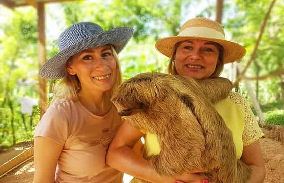 Cruise Ship Family Manawakie Eco Park Culture Tour