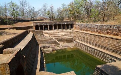 Nagpur to Aurangabad Tour with Melghat and Ajanta Caves