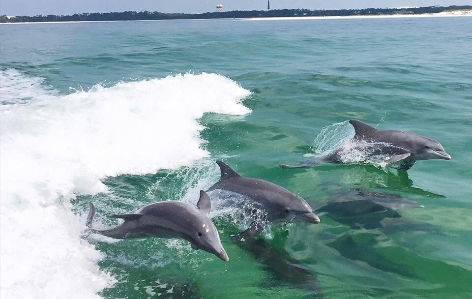 Morning Cruise Towards Rethymno from Bali