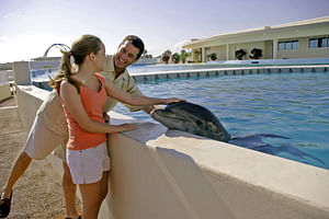 Dolphin Discovery Meet & Greet at Marineland