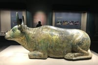 Private Day Tour in Yinchuan Including Lunch and Admission Tickets 2