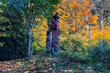 Private Vancouver City tour with Flyover Canada and Vancouver Lookout