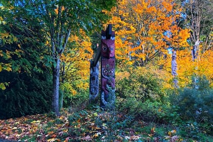 Private Vancouver City tour with Flyover Canada and Vancouver Lookout