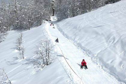 Sledge Experience at Piedras Blancas Snow Resort