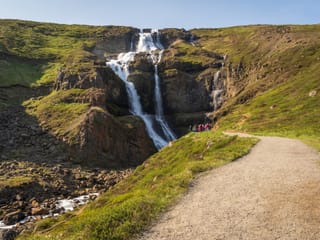 Private Eastfjords Seasonal Wildlife Tour from Seyðisfjörður, photo 15