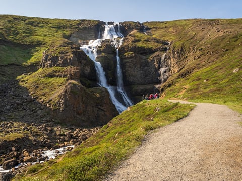Private Eastfjords Seasonal Wildlife Tour from Seyðisfjörður, photo 15