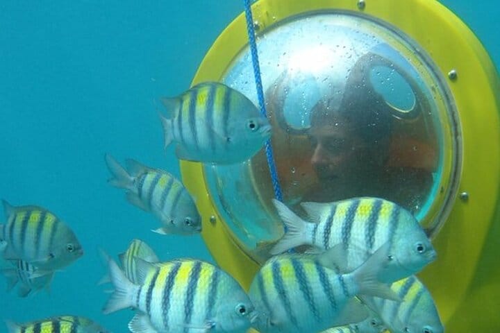 5 tours in 1 (Eco Farm/Horseback/City Tour/Buggy/Zipline)