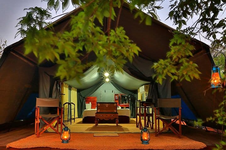 3 Days Adventure and Wildlife Tour