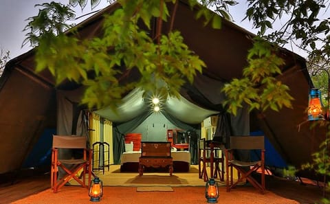 3 Days Adventure and Wildlife Tour