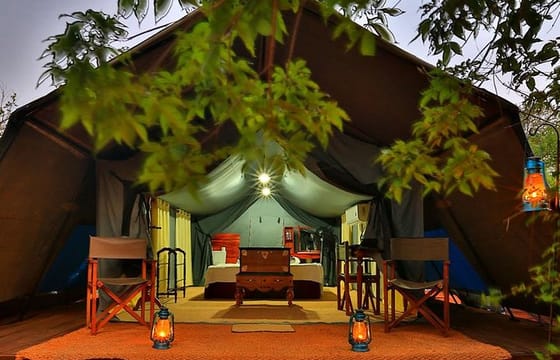 3 Days Adventure and Wildlife Tour