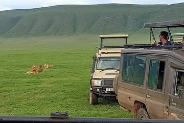 Ngorongoro Crater Wildlife Safari Day Trip from Arusha
