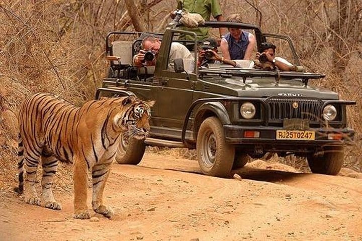 Jaipur Heritage walk Tour