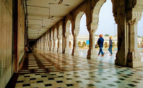 Delhi: Old & New Delhi Full or Half Day Tour