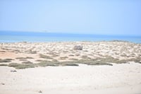 Marsa Mubarak Intro Dive &amp; Snorkeling with Transfer : Marsa Alam