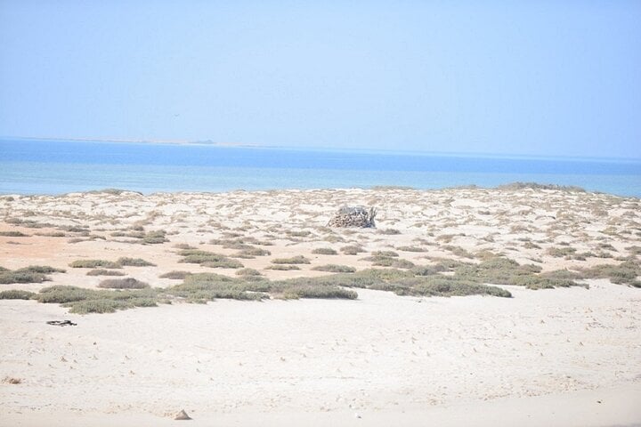 Marsa Mubarak Intro Dive & Snorkeling with Transfer : Marsa Alam