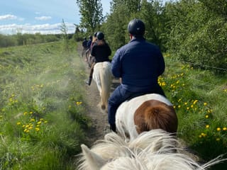 Horse Riding Tour and Explore Scenery in Gásir Akureyri, photo 13