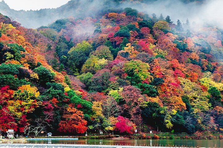 Arashiyama Walking Tour - Bamboo Forest, Monkey Park & Secrets