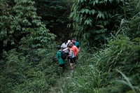 Mount Merapi: A Serene Soft Trek Through Botanic Villages Tour 1
