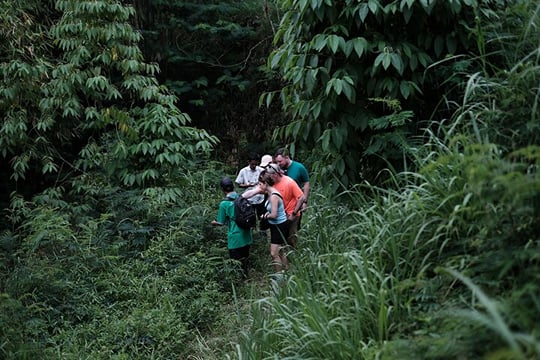 Mount Merapi: A Serene Soft Trek Through Botanic Villages Tour