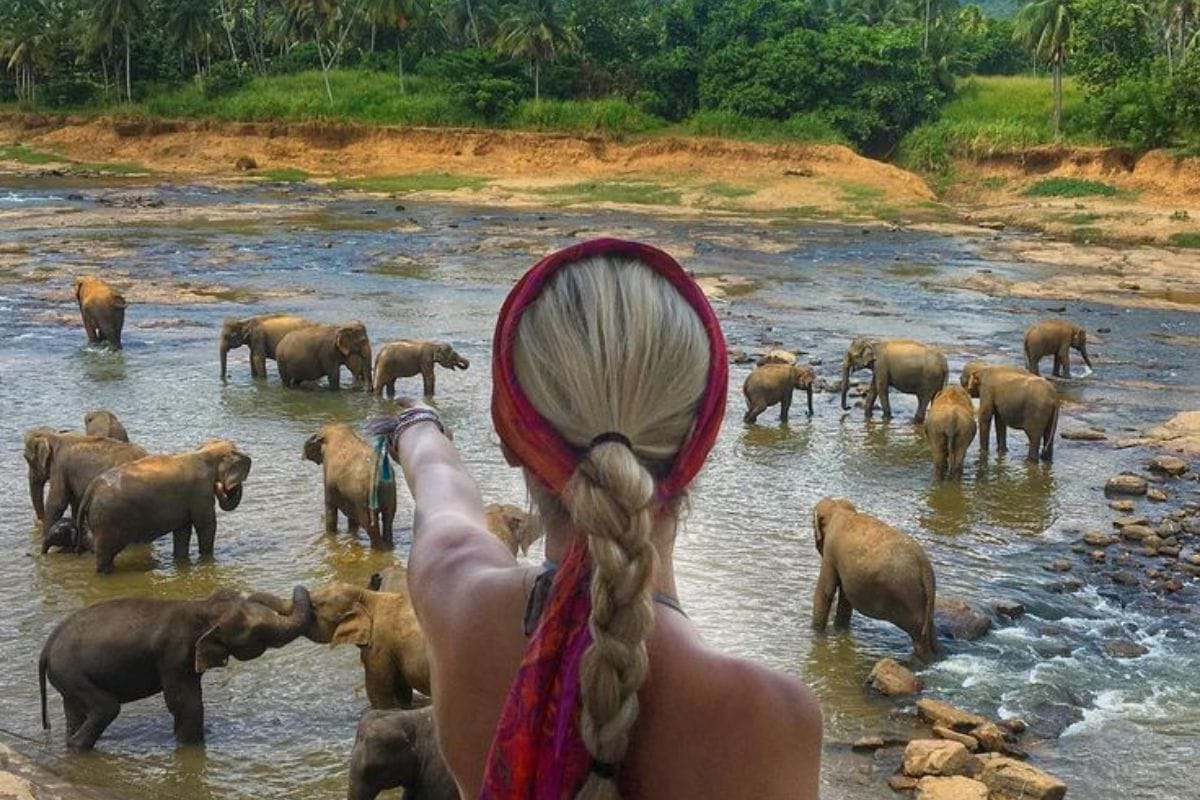 Minicrociera flegrea