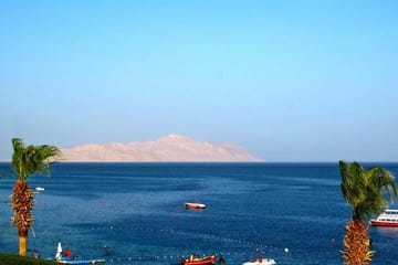 Snorkeling Day Trip to Tiran Island from Sharm El Sheikh